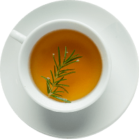 Taza de té de hierbas con una ramita de romero, sobre un fondo blanco.